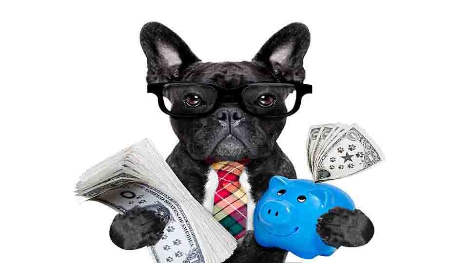 Immobilien in Florida easy finanzieren