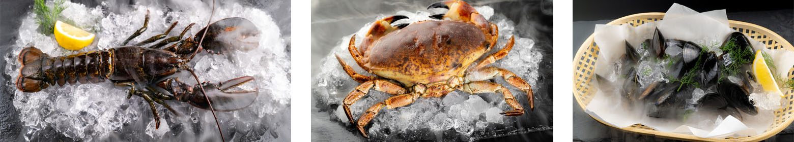 Restaurants direkt am Wasser