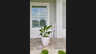 Detail des Eingangsbereichs der Villa Cupido mit bepflanztem Blumentopf, dekorativem - Traum-Urlaub-Florida