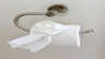 Detailaufnahme einer Toilettenpapierrolle auf modernem Halter im hellen Badezimmer. - Traum-Urlaub-Florida