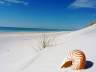 Der Strand ruft - Traum-Urlaub-Florida