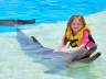 Wo die Delphine natürlich spielen und wo Sie mit den Delphinen schwimmen können  - Traum Urlaub Florida