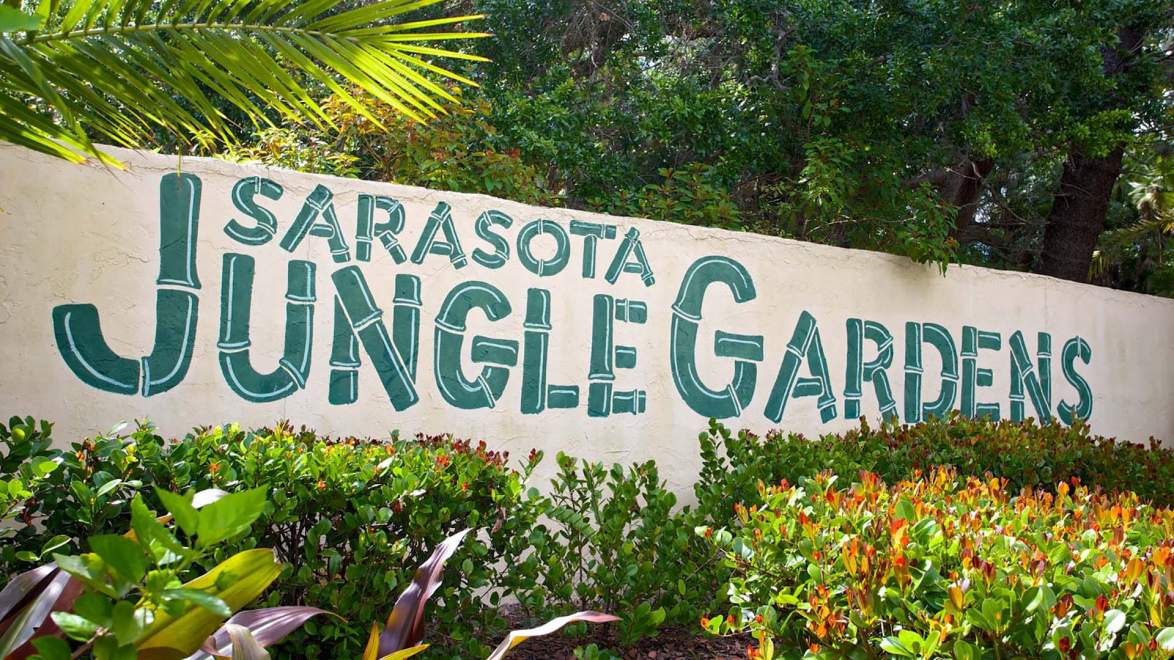Ausflug Sarasota Jungle Gardens In Sarasota Traum Urlaub Florida