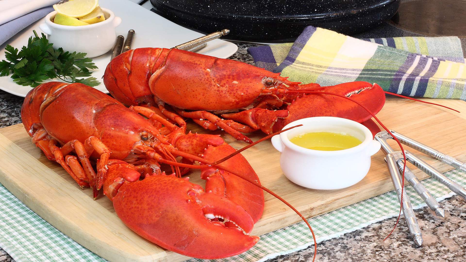 Was ist ein Maine Lobster - Hummer | Traum Urlaub Florida